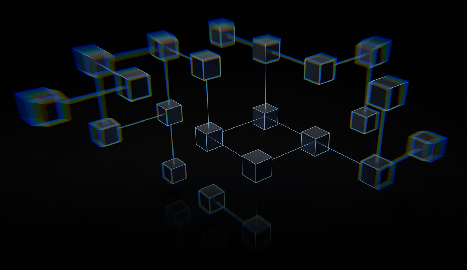 3D Network